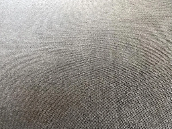 Carpet cleaning Melbourne