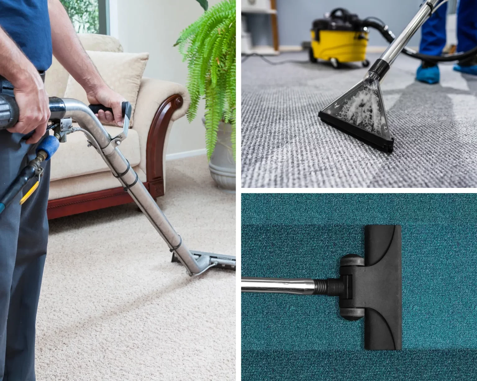 Professional carpet cleaner working in a home